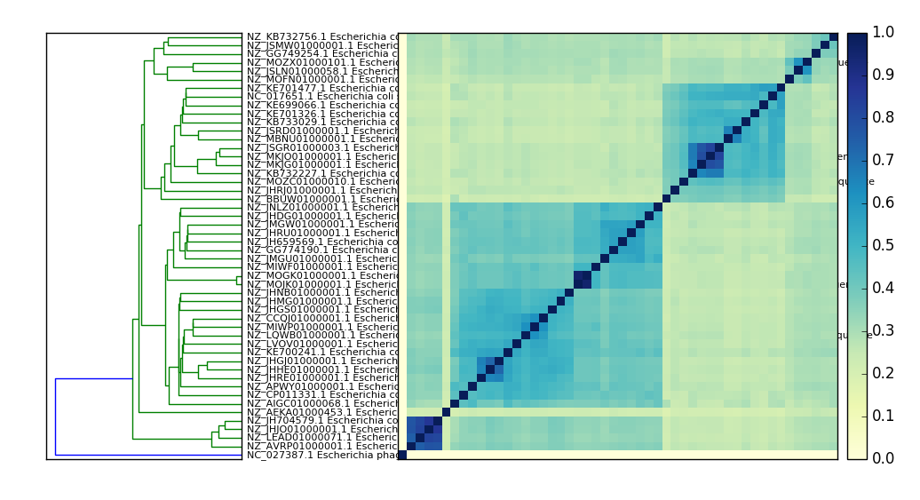 E. coli comparison plot